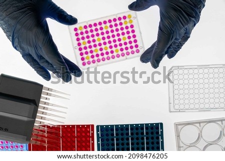 Enzyme-linked immunosorbent assay (ELISA) 96 well micro plate, Immunology or serology testing method in science medical laboratory