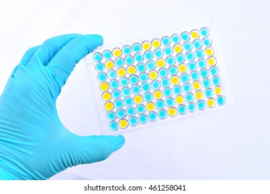 96 Well Plate の画像 写真素材 ベクター画像 Shutterstock