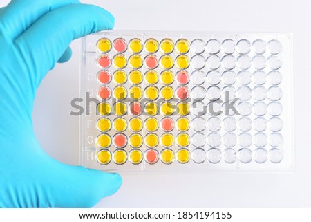Enzyme-linked immunosorbent assay or ELISA plate, Immunology testing method in medical laboratory