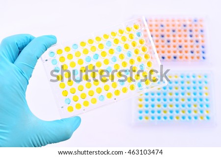 enzymelinked immunosorbent assay elisa plate immunology stock photo enzyme linked immunosorbent assay