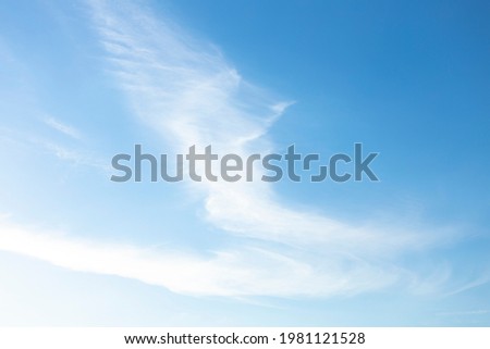 Ephemeral feather light whispy air cirrus ice clouds forming a bird wing shape contrasted against a vibrant deep soft blue sky. Weather conditions and scientific meteorology graphic backdrop.