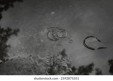 Ephemeral Ripples: Capturing Reflections and Tranquility in a Rain-Kissed Puddle