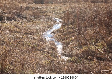 Ephemeral Stream Virginia