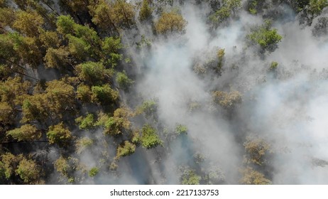 Epic Aerial View Of Smoking Wild Fire. Large Smoke Clouds And Fire Spread. Forest And Tropical Jungle Deforestation. Amazon And Siberian Wildfires. Dry Grass Burning. Climate Change, Ecology, Earth