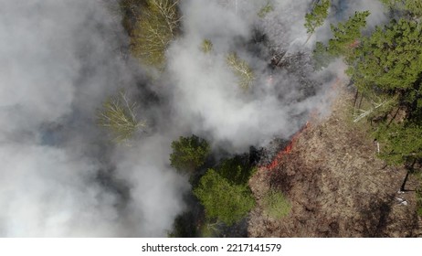 Epic Aerial View Of Smoking Wild Fire. Large Smoke Clouds And Fire Spread. Forest And Tropical Jungle Deforestation. Amazon And Siberian Wildfires. Dry Grass Burning. Climate Change, Ecology, Earth