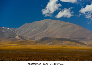 The epic Andean altiplano landscape on the way to Antofagasta de la Sierra, Catamarca Province, northwest Argentina