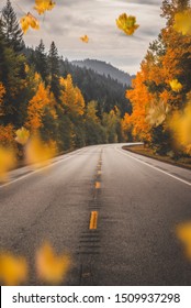 Epic Autumn Road Trips Through Fall Foliage Wonderland