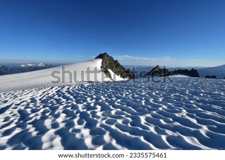 Similar – Image, Stock Photo In the snow Nature