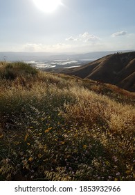 Epic Scenery Of Thw Golan Heights At Summer, North Israel