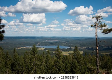 Epic Wide View On Swedish Wilderness Stock Photo 2158523943 | Shutterstock