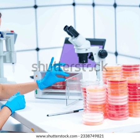 Epigenetics research: Petri dishes are used in epigenetics research to study heritable changes in gene expression that do not involve changes in the DNA sequence The dishes allow researchers