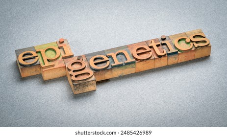 Epigenetics, study of heritable changes in gene expression or cellular phenotype caused by mechanisms other than changes in the underlying DNA sequence, word in letterpress wood type