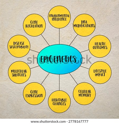 Epigenetics, study of heritable changes in gene expression or cellular phenotype caused by mechanisms other than changes in the underlying DNA sequence -  infographics.
