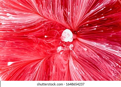 Epoxy Resin Petri Dish Art Macro Shot, Red Abstract