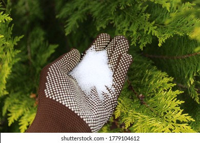 Epsom Salt In A Hand With Gloves