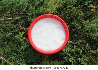 Epsom Salt On Branches Of A Conifer