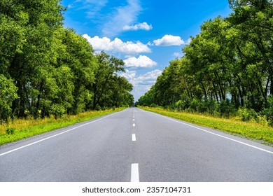 Epty straight road with green trees on the roadside. - Powered by Shutterstock