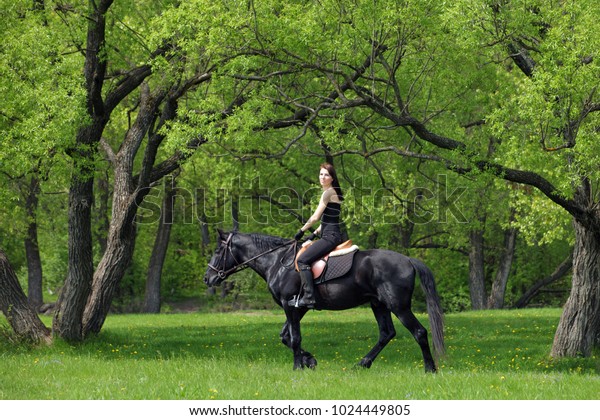 endurance horse riding boots
