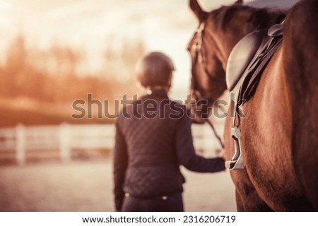 Equestrian girl standing with her horse friend. Equestrian sport theme.