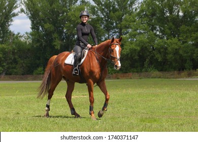 Equestrian model girl riding sportive dressage horse in summer fields - Powered by Shutterstock