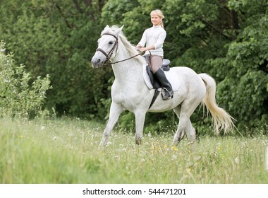 Equestrian Rider Girl Riding White Arabian Horse.