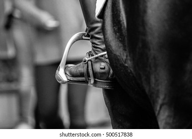 Equestrian Sport