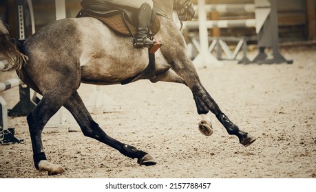 Equestrian sport. Galloping horse. The legs of a horse galloping, rear view. The leg of the rider in the stirrup, riding on a horse. Overcome obstacles. Jumping competition. Show jumping. Horseback  - Shutterstock ID 2157788457
