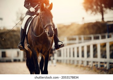 Equestrian sport. Portrait of a dressage horse in training, front view. Sports stallion in the bridle.The leg of the rider in the stirrup, riding on a horse. Dressage of the horse in the arena.  - Shutterstock ID 2053178834