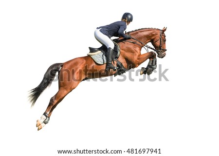 Equestrian sport: rider in jumping show (isolated on white)