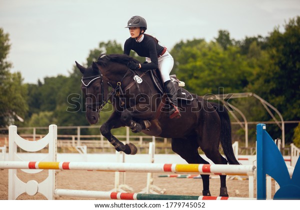 Equestrian sport -\
young girl rides on\
horse.