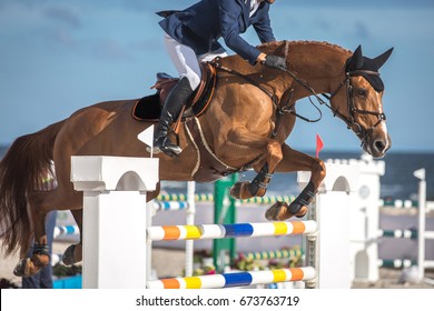 Equestrian Sports, Horse Jumping