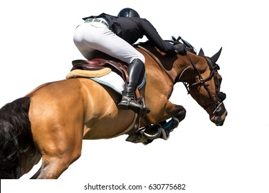 Equestrian Sports, Horse Jumping Event, Isolated on White Background