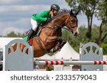 Equestrian Sports, Horse jumping, Show Jumping, Horse Riding themed photograph.