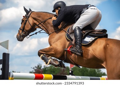 Equestrian Sports, Horse jumping, Show Jumping, Horse Riding themed photograph. - Powered by Shutterstock