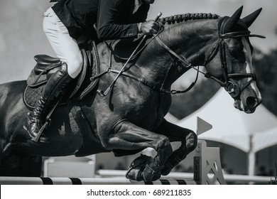 Equestrian Sports, Horse Jumping, Show Jumping Event