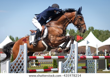 Equestrian Sports, Horse jumping, Show Jumping, Horse Riding themed photo