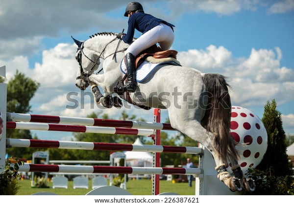 Equestrian Sports, Horse jumping, Show Jumping,\
Horse Riding themed\
photo