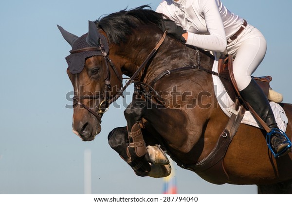 Equestrian Sports, Horse jumping, Show Jumping,
Horse Riding themed
photo