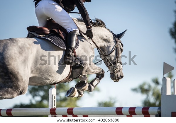 Equestrian Sports, Horse jumping, Show Jumping,\
Horse Riding themed\
photo