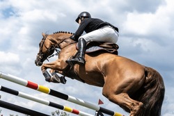 Equestrian Sports Photo-themed: Horse Jumping, Show Jumping, Horse Riding. 