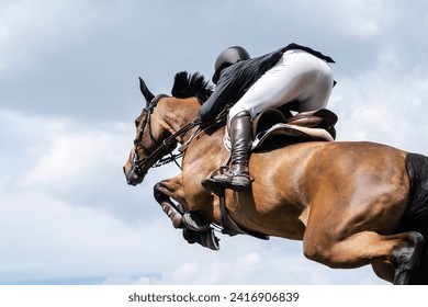 Equestrian Sports photo-themed: Horse jumping, Show Jumping, Horse riding.  - Powered by Shutterstock