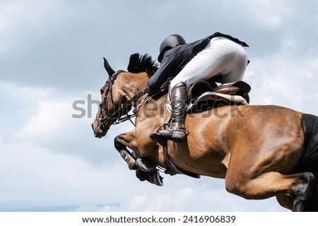 Equestrian Sports photo-themed: Horse jumping, Show Jumping, Horse riding. 