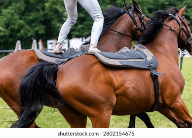 Equestrian vaulter performs balancing exercise standing barefoot moving horse pair during outdoor demonstration. Athletic training harmony coordination confidence horsemanship balance and teamwork