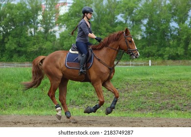 Equestrian Woman Galloping Sport Thoroughbred Horse In The Farm