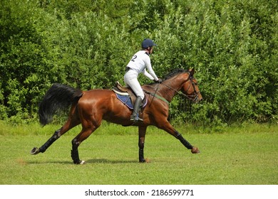 Equestrian Woman Galloping Sport Thoroughbred Horse In The Event