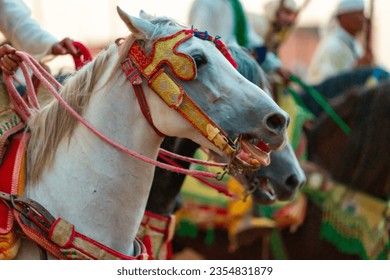 Equestrians participating in a traditional fancy dress event named Tbourida in Arabic dressed in a traditional Moroccan outfit and accessories of the knights - Powered by Shutterstock