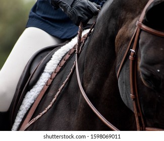 Equine Photography During A Horse Show Creative Content