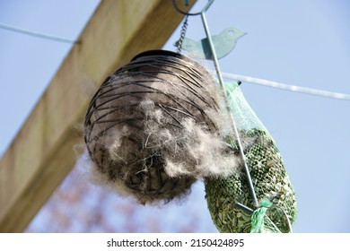 Equipment For Birds. A Ball (metal Wire Spiral) Is Hung On The Wooden Pergola. It's Filled With Dog Hair. The Tits Come To Take Them To Build Their Nest.