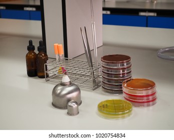 Equipment Preparing Bacterial Culture Identification Stock Photo ...