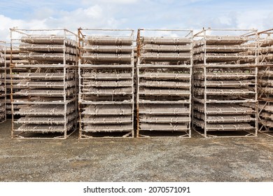 
Equipment For Raising Oyster And Mussel Spat At Le Vivier Sur Mer In Brittany France.